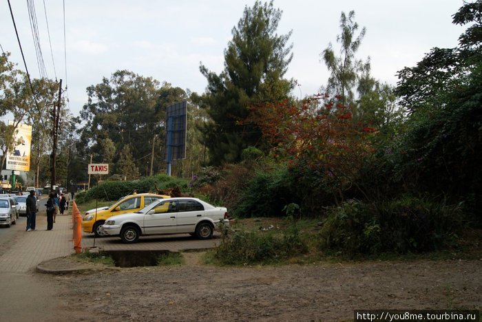 такси Найроби, Кения