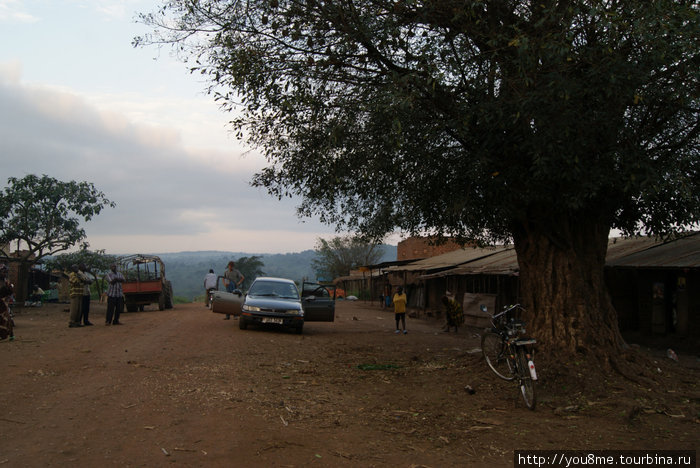 и наша машина) Озеро Альберт, Уганда