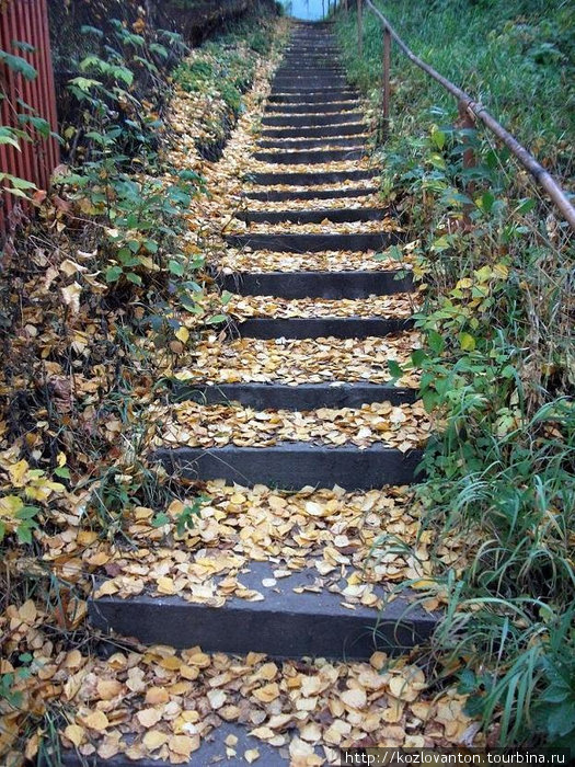 Лестница в осень. Новосибирск, Россия