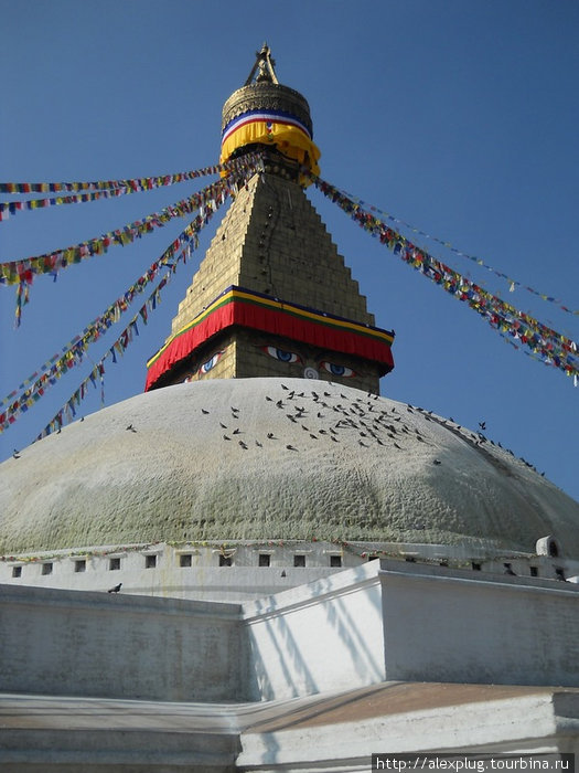 Буднат Катманду, Непал