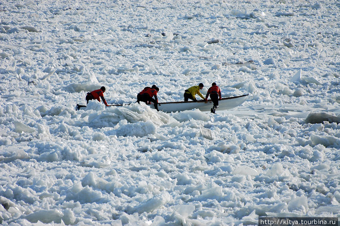 Катание на лодке среди льдин — какой-то специальный местный вид спорта... Квебек, Канада