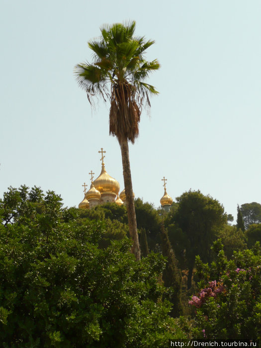 вид на купола православного храма Марии Магдалены Иерусалим, Израиль