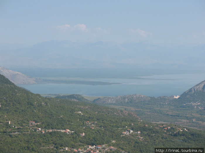 Кадарское озеро Черногория