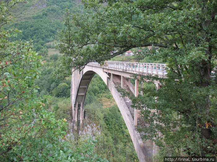 мост через Тару Черногория