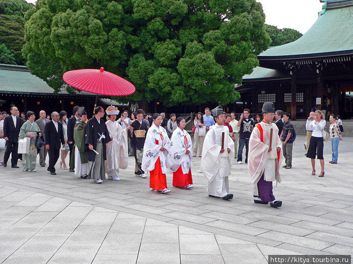 В Мэйдзи дзингу очень часто проводятся японские традиционные свадьбы Токио, Япония