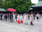 В Мэйдзи дзингу очень часто проводятся японские традиционные свадьбы