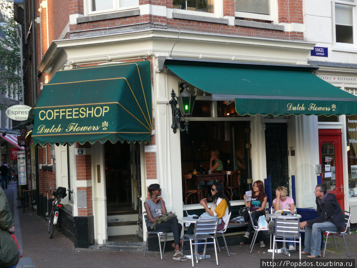 Кофешоп амстердаме