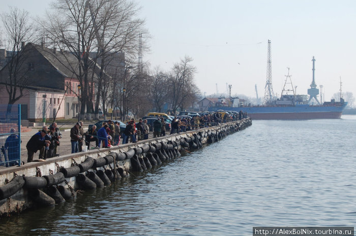 Погода в балтийске калининградской сегодня