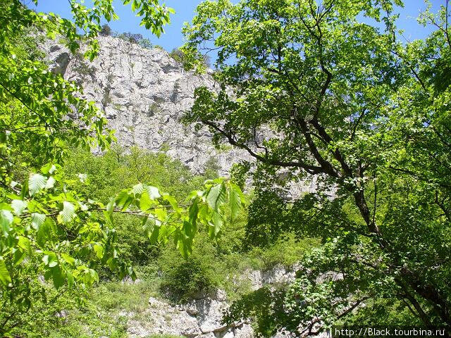 Большой каньон Крыма оказался не таким уж  большим Республика Крым, Россия