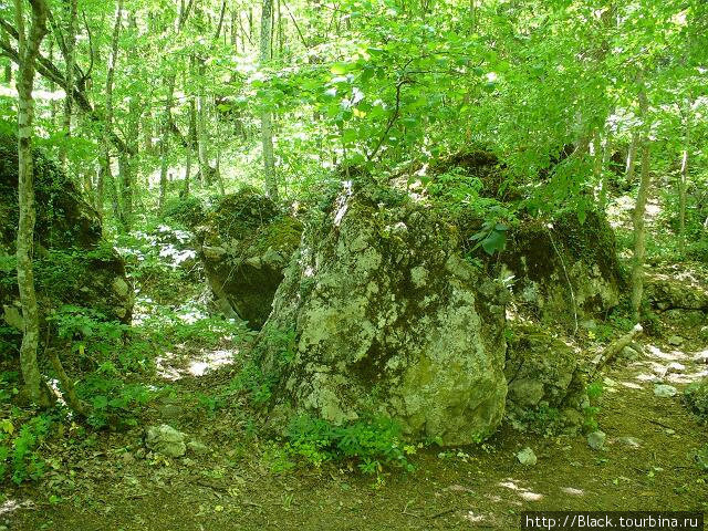 Большой каньон Крыма оказался не таким уж  большим Республика Крым, Россия