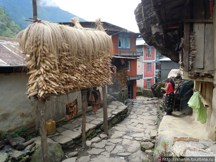 Кукуруза на улице Бесисахар, Непал