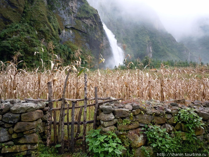 Кукурузное поле Бесисахар, Непал
