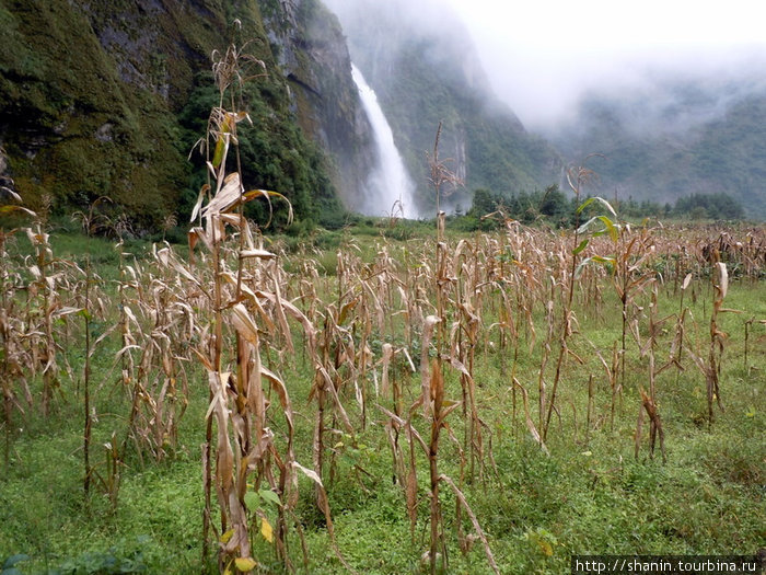 Кукуруза и водопад Бесисахар, Непал