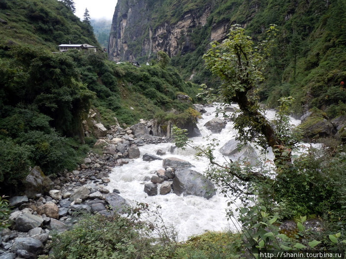 Горная река Бесисахар, Непал