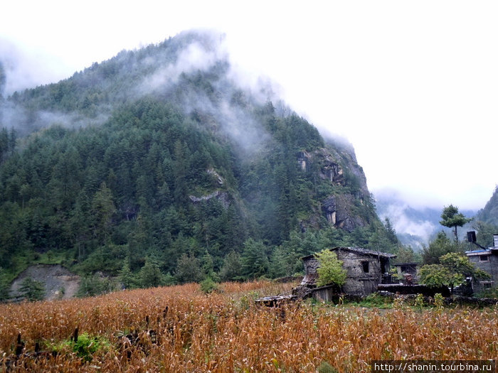 Поле и гора в Кото Чаме, Непал
