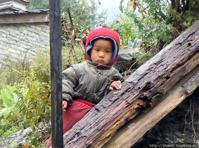 Реьенок в шапке Чаме, Непал