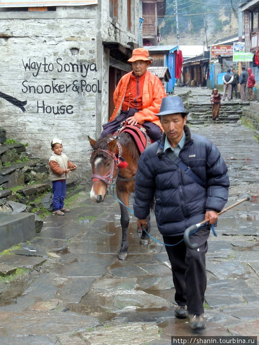 Верхом на муле Чаме, Непал