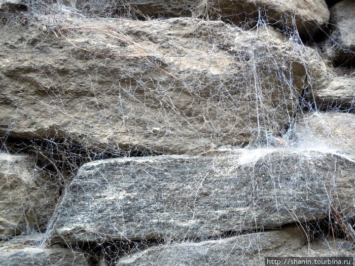 Заросшие паутиной камни Чаме, Непал