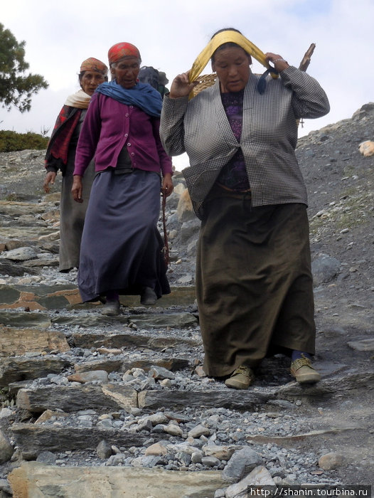 Женщины на тропе Зона Гандаки, Непал