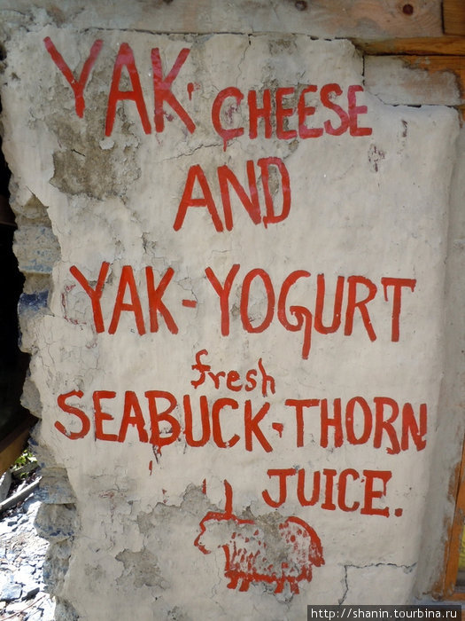 Сыр и йогурт из молока яка Зона Гандаки, Непал