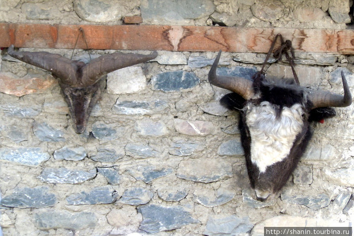 Черепа с рогами Мананг, Непал