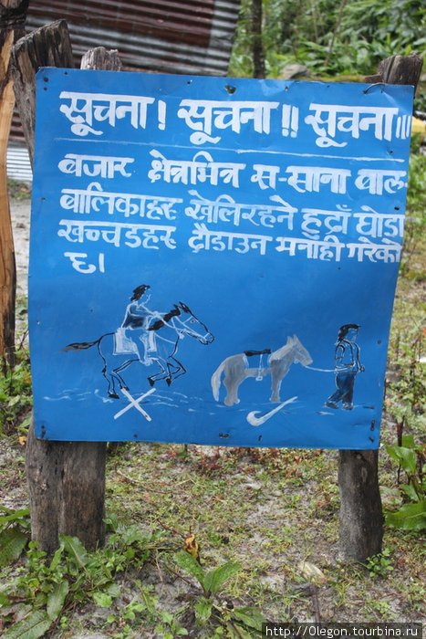 Соблюдайте тишину, на лошадях не скакать! Зона Гандаки, Непал