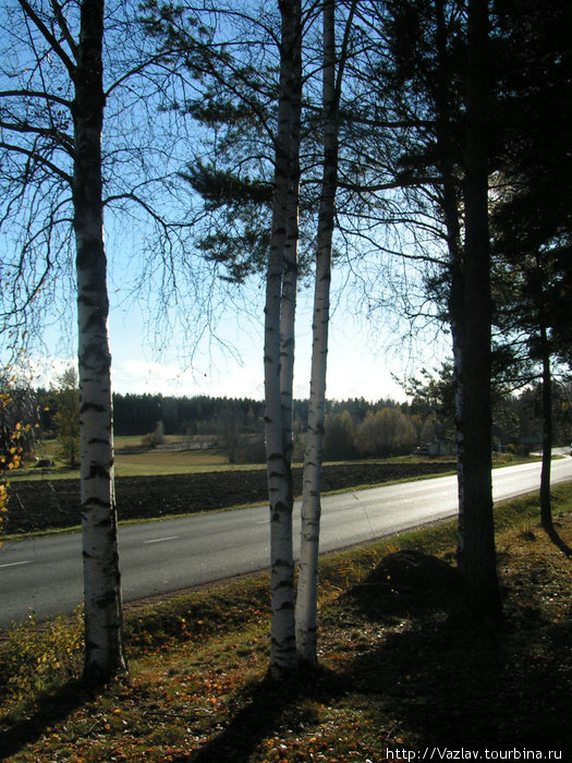 Солнечный день Провинция Кюменлааксо, Финляндия