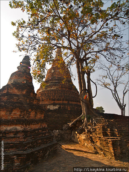 Wat Maheyong Аюттхая, Таиланд