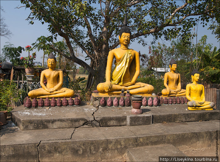 Wat Ayoutthaya Аюттхая, Таиланд