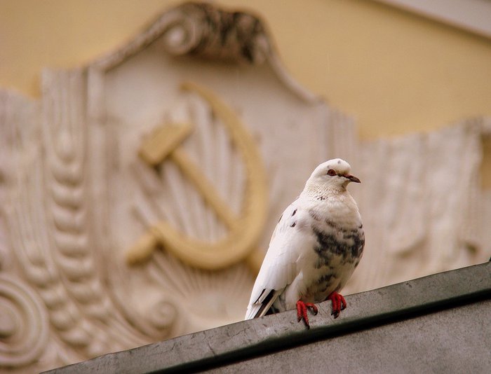 Back in the USSR (ч.1 фото прошлого из настоящего)