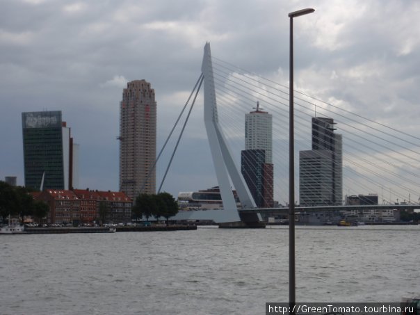 Мост-лебедь. Роттердам, Нидерланды