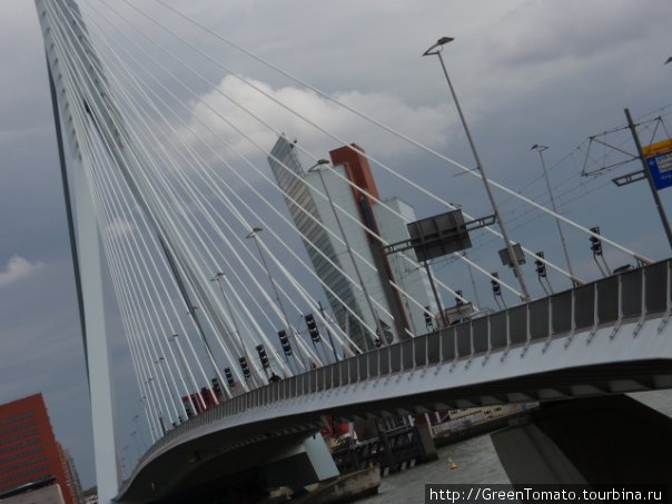 мост Эразма. Роттердам, Нидерланды