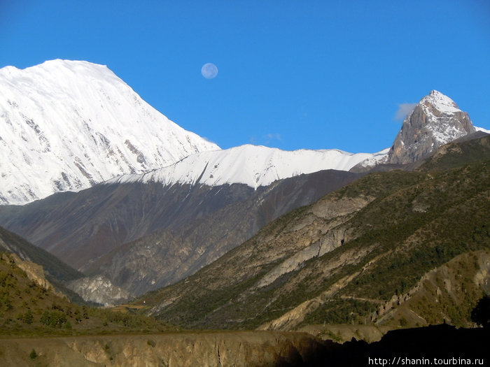 Горы под снегом и полная луна Мананг, Непал