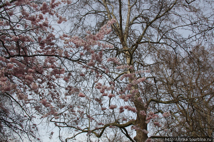 Весна в Лондоне Лондон, Великобритания