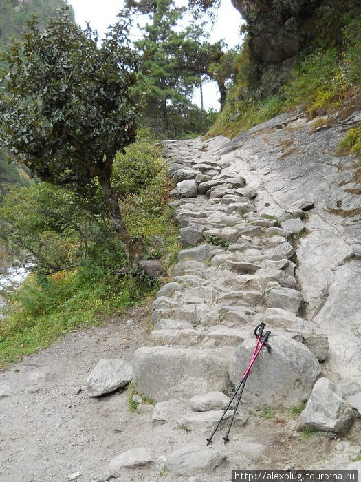 Начало большого пути к Намче. Каменные ступени. Намче-Базар, Непал