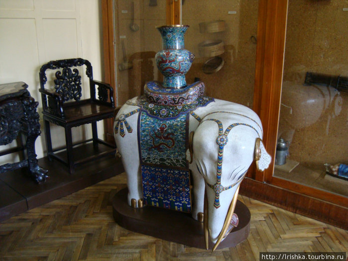 Симпотичный слоненок из Кунсткамеры Санкт-Петербург, Россия