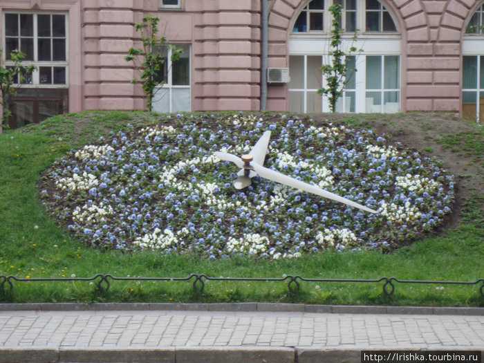 Влюбленность Санкт-Петербург, Россия