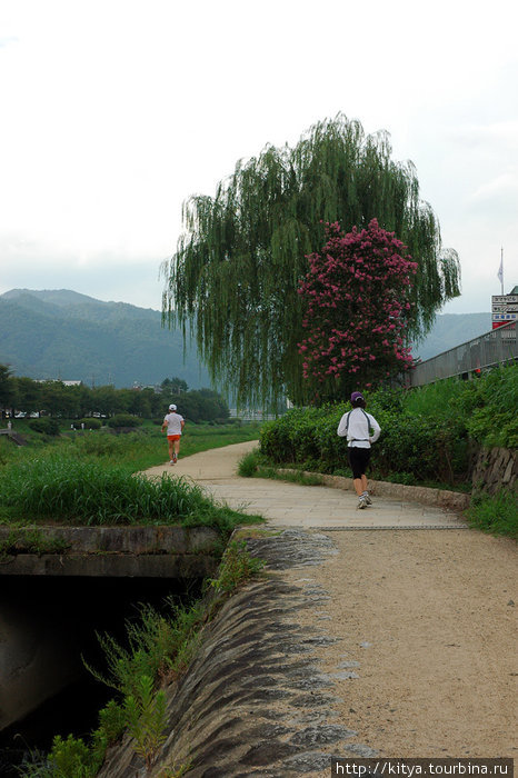 Дорожка вдоль реки рядом со святилищем Камигамо Киото, Япония
