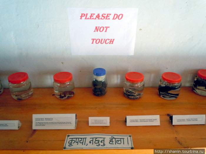 Эко-музей Мустанга Джомсом, Непал