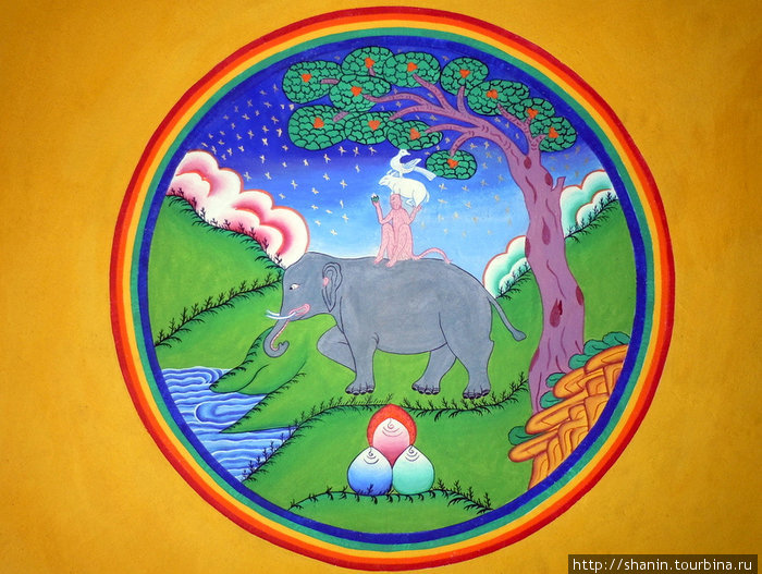 На белом слоне Джомсом, Непал