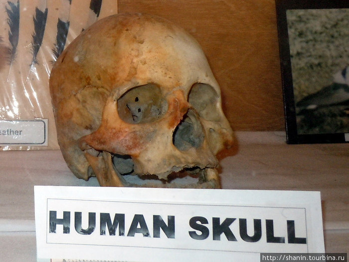 Человеческий череп Джомсом, Непал