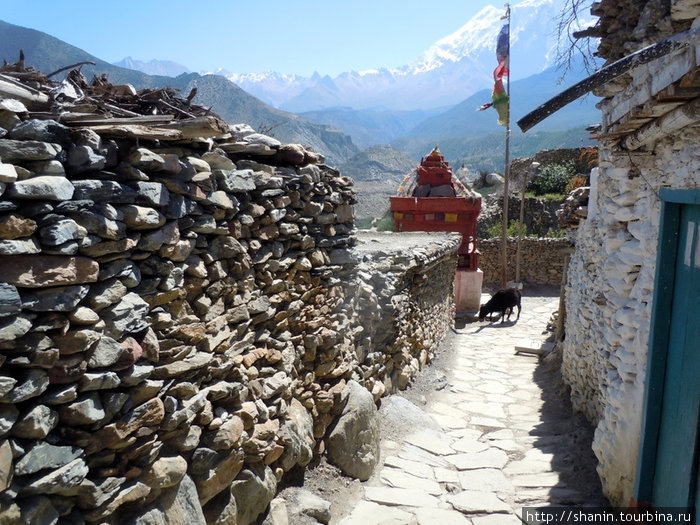 Деревня на горе Джомсом, Непал