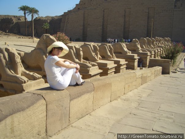 5000 лет назад...Египет. Египет