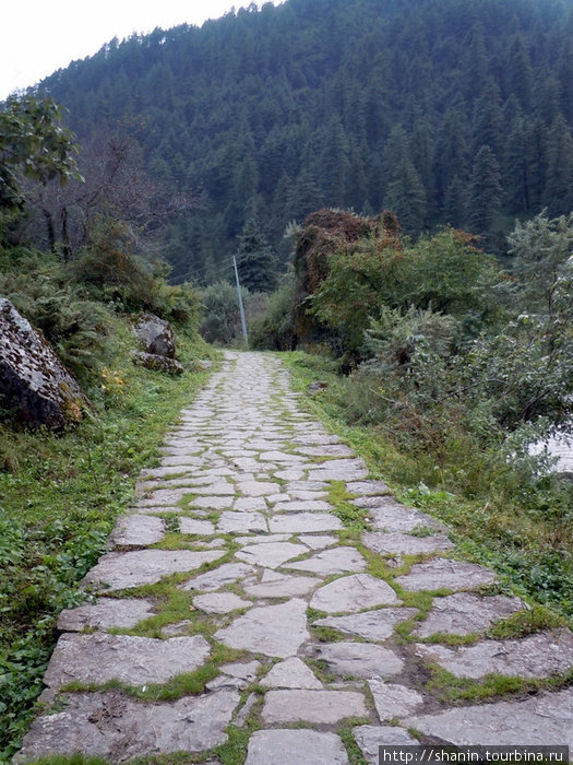 Мощенная камнем дорога Зона Дхавалагири, Непал