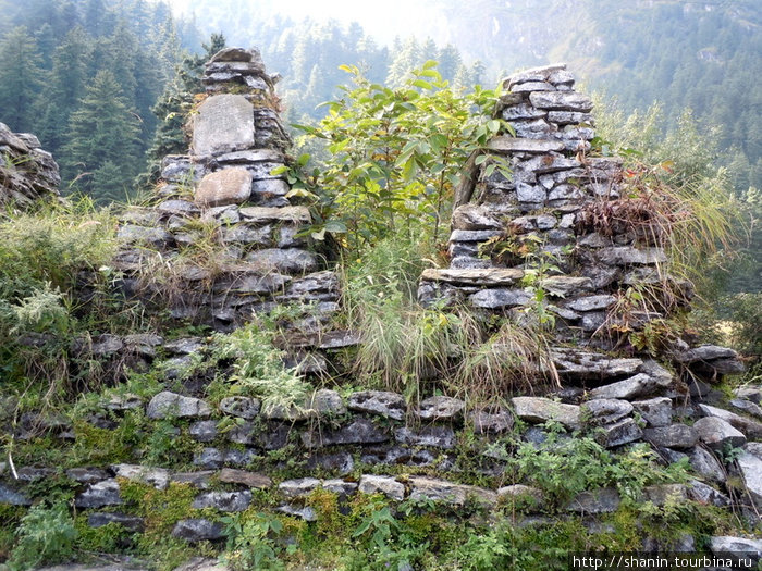 Заросшие травой каменные ступы Зона Дхавалагири, Непал