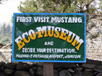 Реклама эко-музея