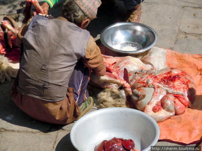 Мясо Зона Дхавалагири, Непал