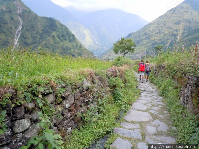 Дорога выложена камнем Зона Дхавалагири, Непал