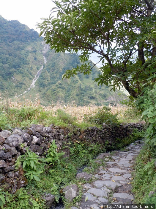 Дрога облицована камнем Зона Дхавалагири, Непал