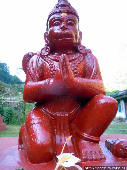 Царь обезьян Зона Дхавалагири, Непал